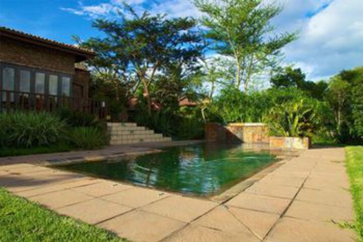 White River Martin's Nest - thumb 6