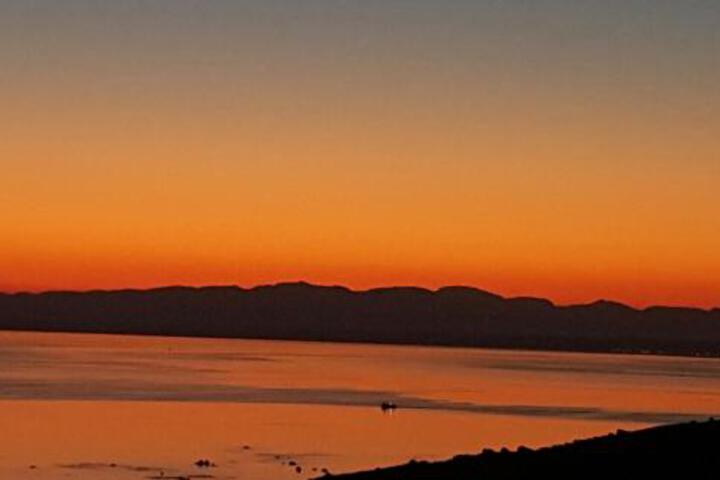 The Lazy Daisies - thumb 6