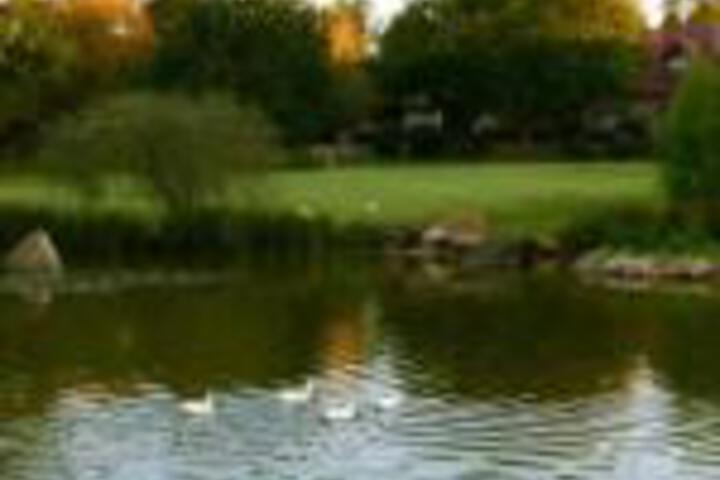 Delagoa Cottage Dullstroom - thumb 0