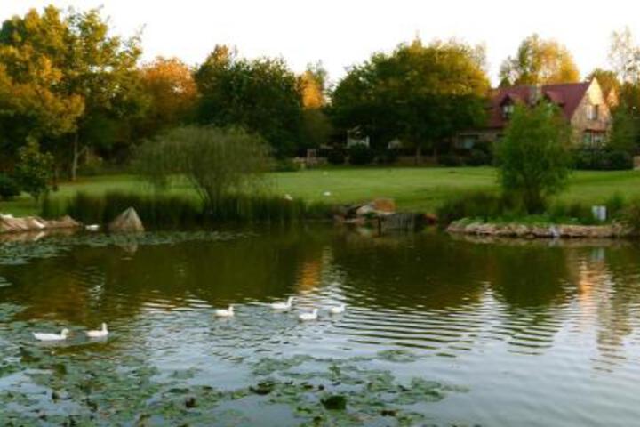 Delagoa Cottage Dullstroom - thumb 3