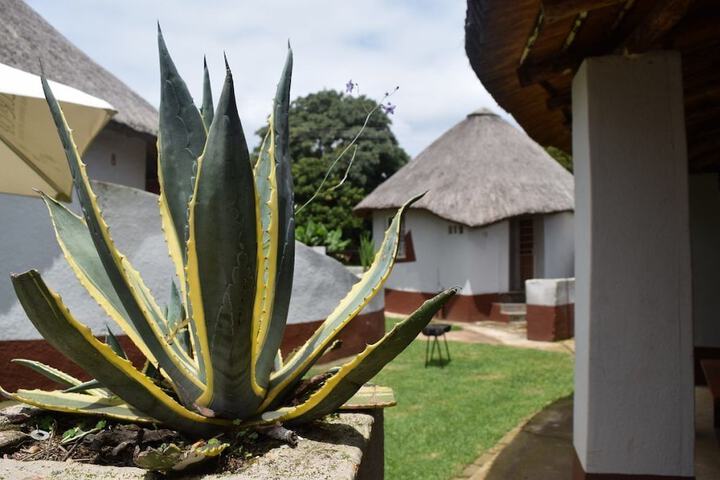 Sheris Lodge And Backpackers - thumb 7