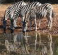 Bushbaby Lodge - Accommodation Africa