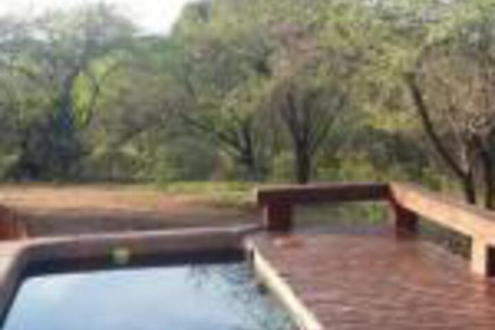 Marloth Kruger Whispering Ants - thumb 0