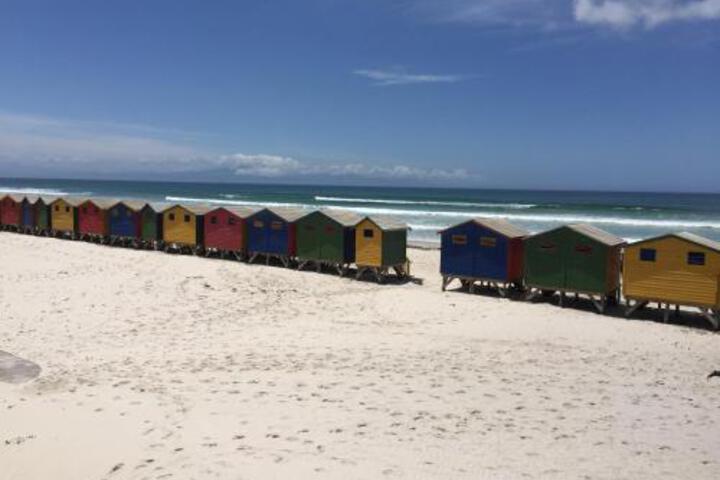 Muizenberg Muse - thumb 3