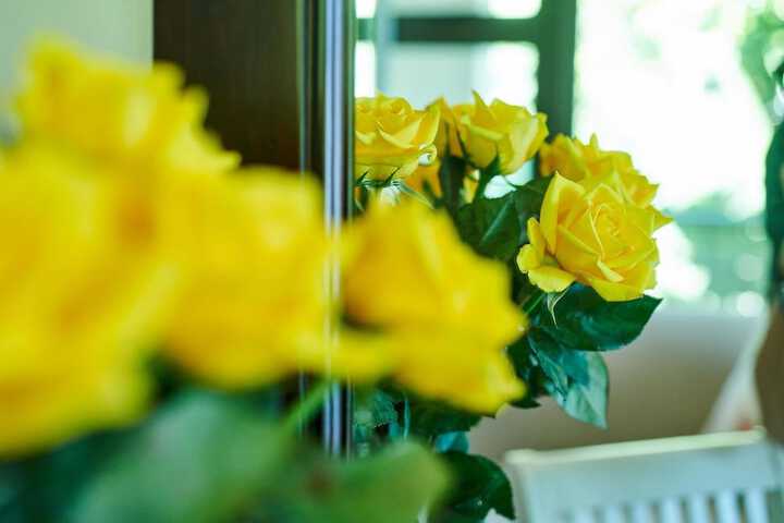 The Hamptons Guest House - thumb 4