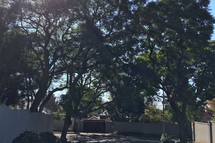 Maison Jacaranda - thumb 2
