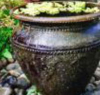 Bali Biasa Guesthouse - Tourism Africa