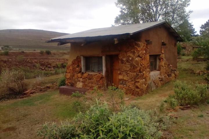 Joy River Backpackers - thumb 4
