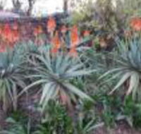 The Greendoor Guesthouse - Tourism Africa