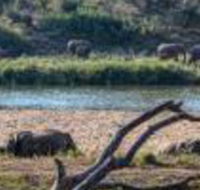 Struwig Eco Reserve - Accommodation Africa