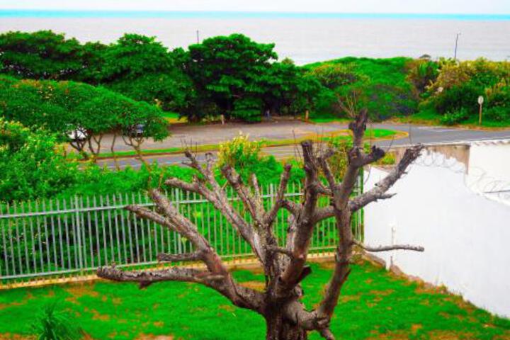 The Whitehouse - thumb 4