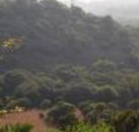 Shamba Yetu Mountain Lodge - Accommodation Africa