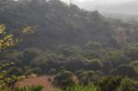 Maanhaarrand Gauteng Accommodation Africa