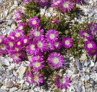 Nuwefontein Guesthouse - Accommodation Africa