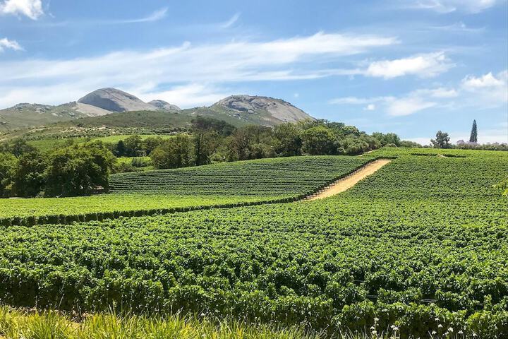 Laborie Estate - thumb 2