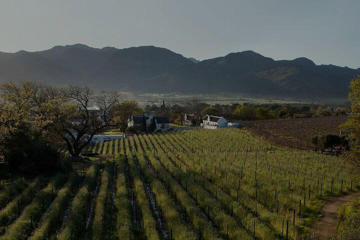 Laborie Estate - thumb 6