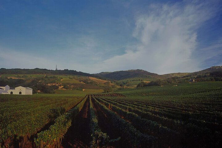 Laborie Estate - thumb 1