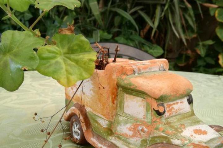 Cape Palms Accommodation - thumb 3