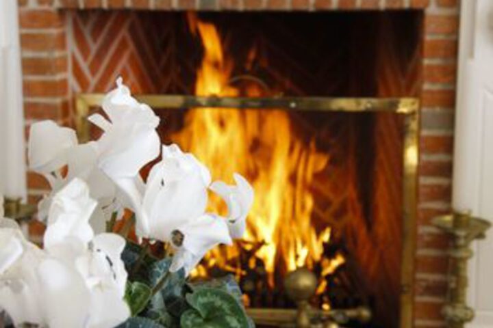 La Pergola - thumb 7