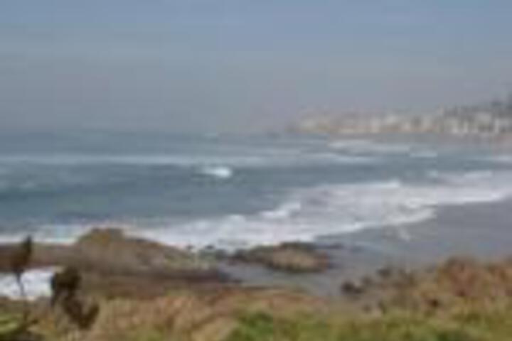 9 Aqua Surf - thumb 0