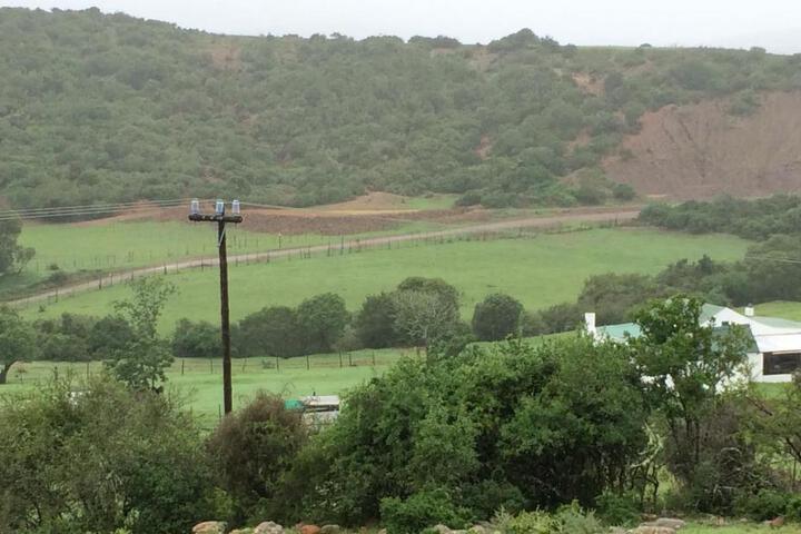 Kromrivier Farm Stays & Addo B & B - thumb 4