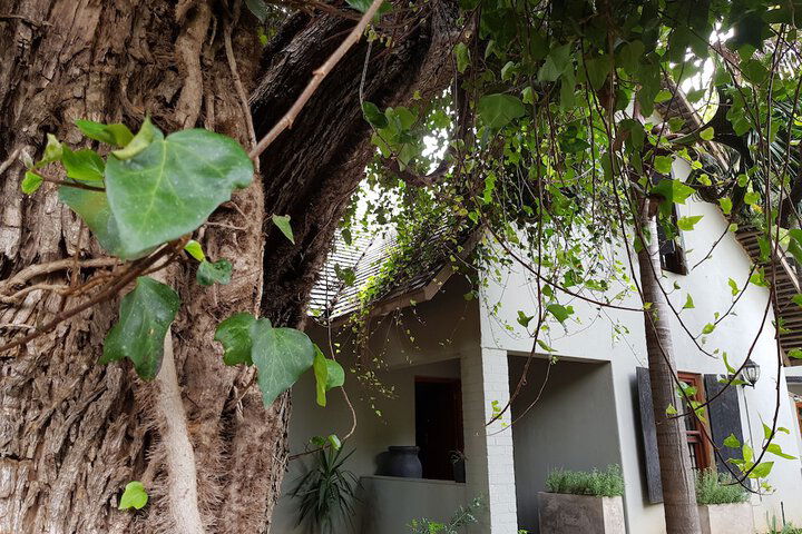 440 At Brooklyn - thumb 6