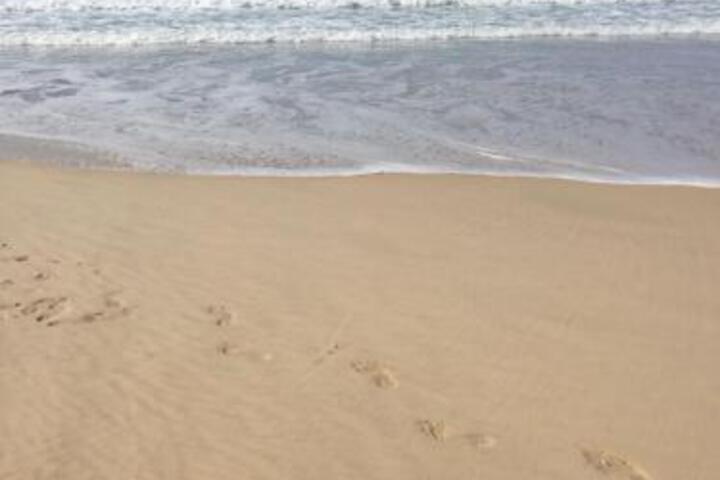 La Caribe 58 - thumb 5