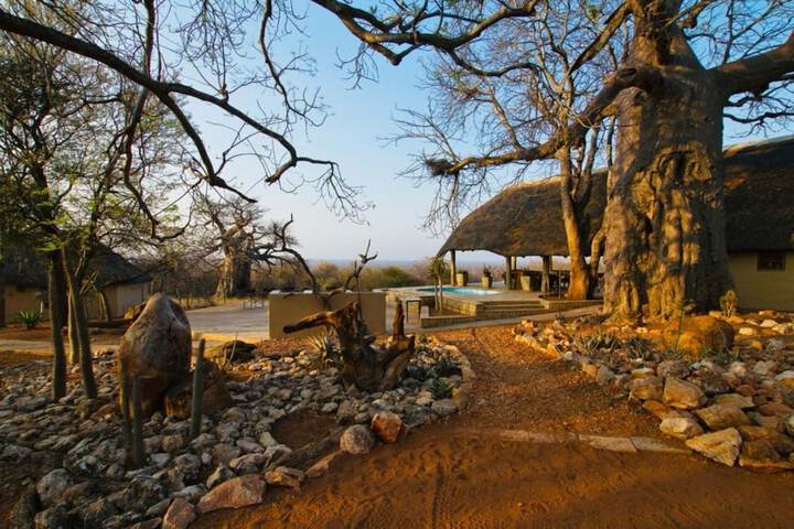 Zingela Nature Reserve - Baobab Tented Camp - thumb 5