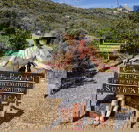 Half Day Boulders Penguins and Cape Point Private Tour - Accommodation Africa