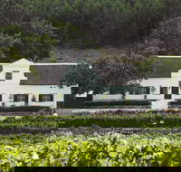Franschhoek Wine Tram Hop-On Hop-Off Tour with Transfers from Cape Town - Accommodation Africa