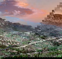 From Cape Town Table Mountain Cape of Good Hope  Penguins including Park Fees - Accommodation Africa