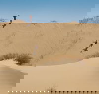 Sandboarding and Quad Biking Full Day Tour from Cape Town - Accommodation Africa