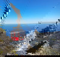 Table Mountain Kirstenbosch and Constantia Winelands Full Day Private Tour - Accommodation Africa