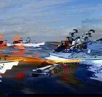Kayak Adventure in Cape Town Table Mountain National Reserve - Accommodation Africa