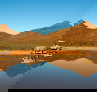 1 Day Safari - Accommodation Africa