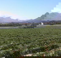 Private Full-Day Stellenbosch Franschhoek and Paarl Wine Tour from Cape Town - Accommodation Africa