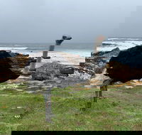 Cape Of Good Hope  Table Mountain Day Trip from Cape Town - Accommodation Africa