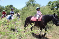  Tourism Africa