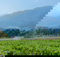Franschhoek Winelands Luxury Ebike Tour - Accommodation Africa