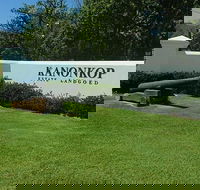 Private Wine Tour with Wine Expert to Stellenbosch-Franschhoek Wine Regions - Accommodation Africa