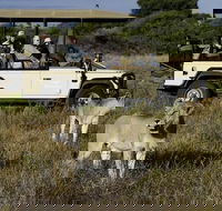 Cape Town Private The Best Of Big Five Safari Tour - Accommodation Africa