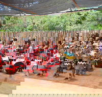 DAY TOUR OF ESWATINI SWAZILAND Min. 2 pax - Accommodation Africa