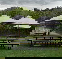 Cape Winelands and Wine Tasting Full Day Tour - Accommodation Africa