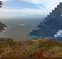 Table Mountain Ticket-Wine-Penguins  Cape of Good Hope Small Group Tour - Accommodation Africa