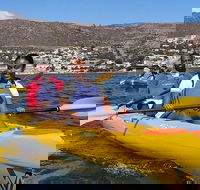 Kayak to the penguins in Simons Town - Accommodation Africa