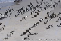 Tshatshu Eastern-cape Accommodation Africa