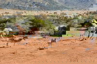 The Reeds Gauteng Accommodation Africa