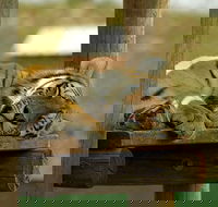 Cradle of Humankind Full Day Tour from Pretoria and Johannesburg - Accommodation Africa