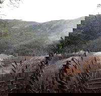 Swaziland Day Tour from Nelspruit or Whiteriver - Accommodation Africa