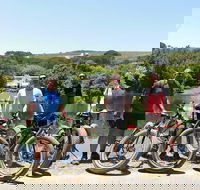 E-Bike Winelands Tour - Accommodation Africa